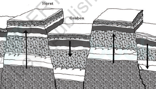 solved-the-raised-portion-between-two-faults-is-known-as